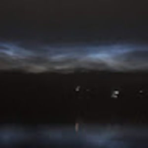 Meet your Posher, Darryl